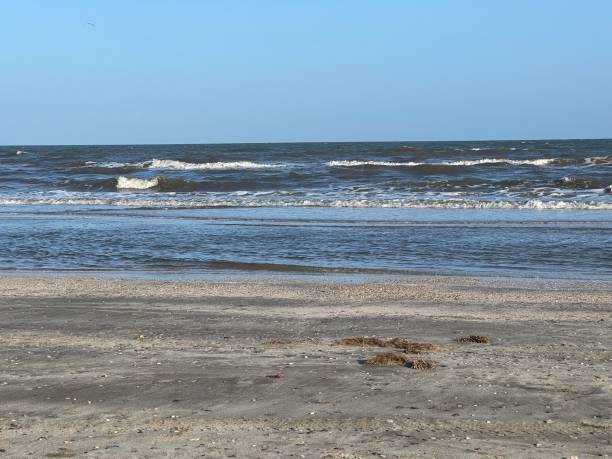 istock Waters edge with Ocean and Neach 1596987735