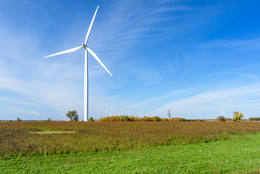 Wind turbines in a field under blue sky in autumn. Wolfe Island, ON, Canada.