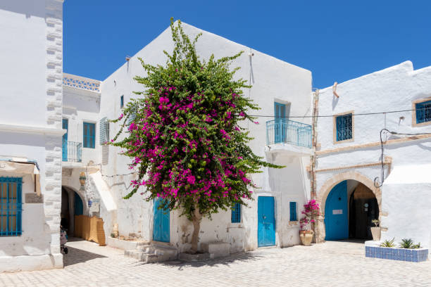 The street of Houmt Souk in Tunisia, white city with blue doors and windows and pink flowers. The street of Houmt Souk in Tunisia, white city with blue doors and windows and pink flowers. djerba stock pictures, royalty-free photos & images