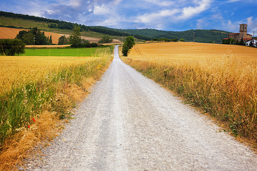 Country road through the fields