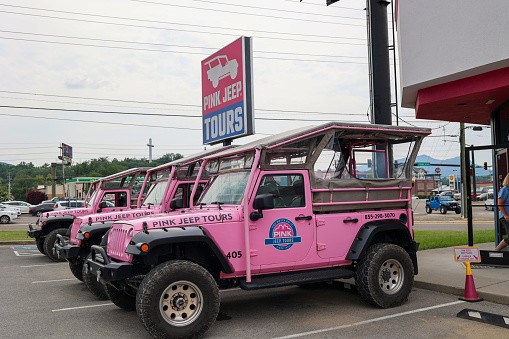 Pigeon Forge, Tennessee, USA - August 2, 2023: A view of the Pink Jeep Tour vehicles in front of business in downtown Pigeon Forge, Tennessee