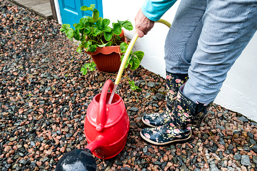 Woman filling a watering can with water from an outdoor tap. The woman is wearing a pair of floral wellington boots