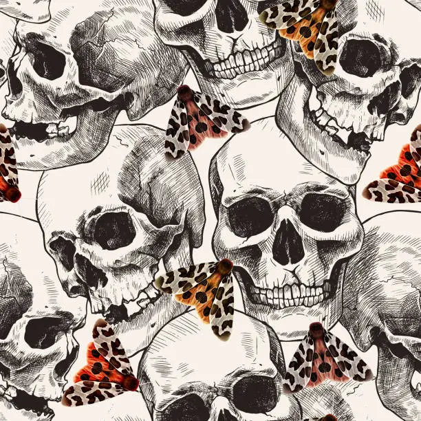 Vector illustration of Seamless pattern of hand-drawn human skulls and the garden tiger moth or Arctia caja. Beautiful colorful vintage illustration.