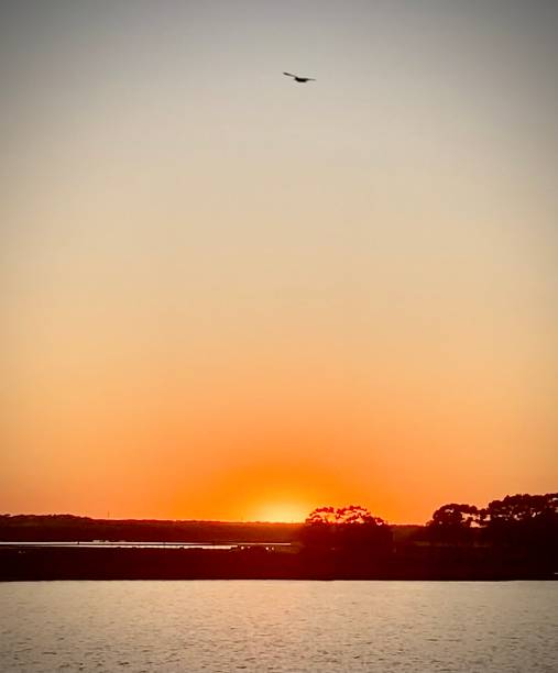 istock Sunset over a natural setting by the sea. Image of relax tranquility and peace 1597154055