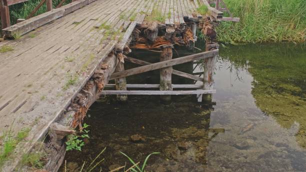 Old Damaged Partially Collapsed Wooden Bridge over Shallow River