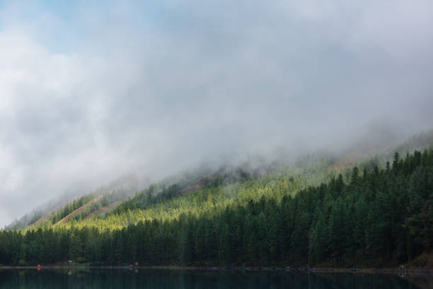 istock Tranquil misty meditative scenery of glacial lake with forest hill under thick low clouds. Coniferous trees on hillside reflected in calm alpine lake. Mountain lake and dense fog at early morning. 1597356494