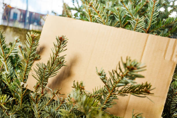istock Christmas tree thrown in trash bin with copy spaced cardboard 1597366782