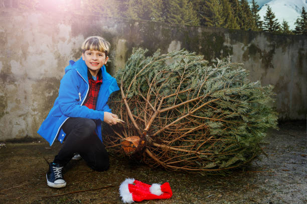 istock Boy holding a saw cut down Christmas tree after celebrations 1597367335