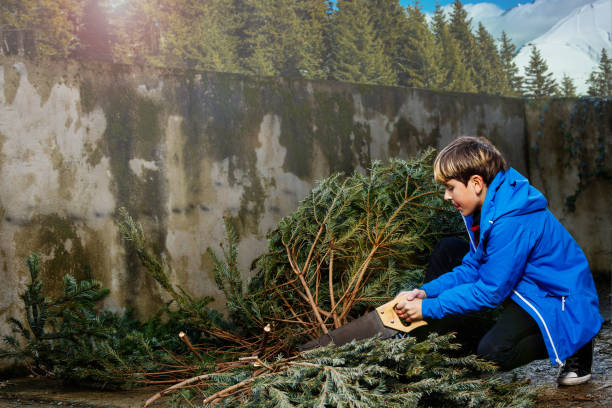 istock Image of a boy holding saw near cut down Christmas tree 1597367339