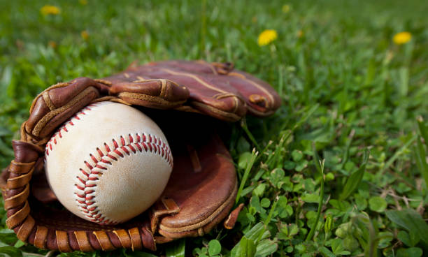 istock Baseball in Baseball Glove at Park 159738261