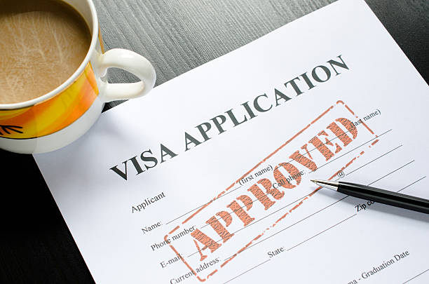 demande de visa-approuvé - visa form photos et images de collection