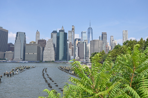 Skyline of Manhattan, New York. Downtown financial district on a clear sky day. Summer trees in the foreground with Hudson River.