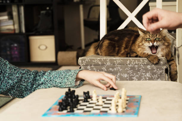 istock Young girl playing chess 1597489400