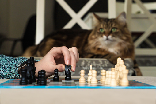A young is girl playing chess and cat is looking nearby