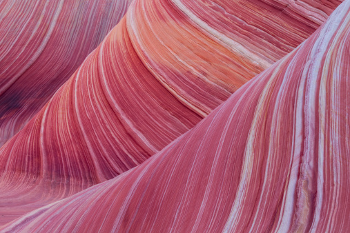 Incredible stripes in the sandstone of the Wave, Coyote Buttes North, Arizona.