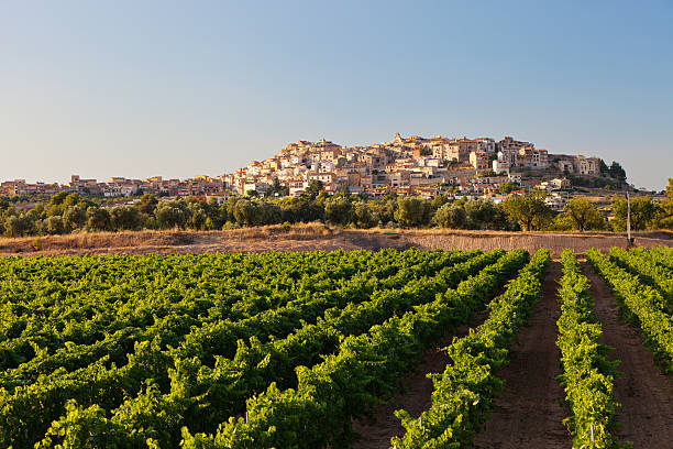 Horta de Sant Joan The Spanish town of Horta de St Joan in the late afternoon sun, seen across a vineyard. catalonia stock pictures, royalty-free photos & images