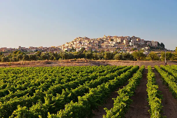 The Spanish town of Horta de St Joan in the late afternoon sun, seen across a vineyard.