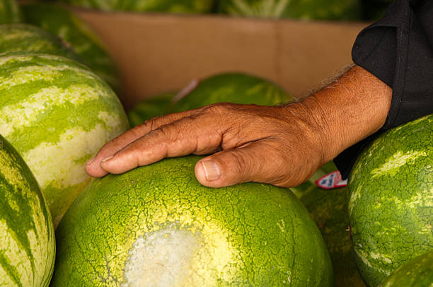 Farmer's Market