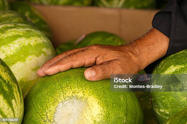 Foto de Farmers Market e mais fotos de stock de Imigrante - Imigrante, Ocupação, Adulto