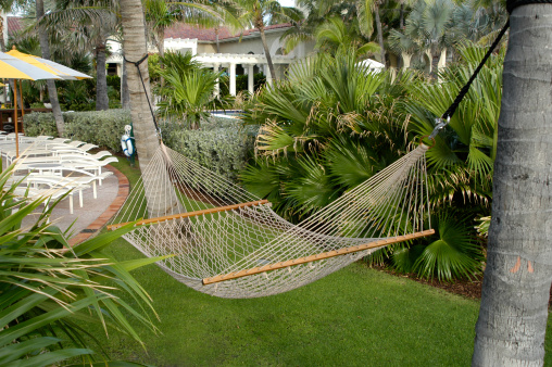 Hammock stretched between two palm trees at The Breakers in Palm Beach, Florida.