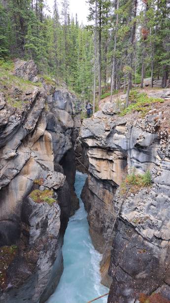 istock Kootenay Plains Ecological Reserve 1597565360