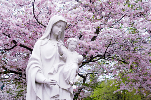 Elegant Madonna & Child Statue against a blooming cheery tree in early March at Belmont Abbey College in Belmont, NC.
