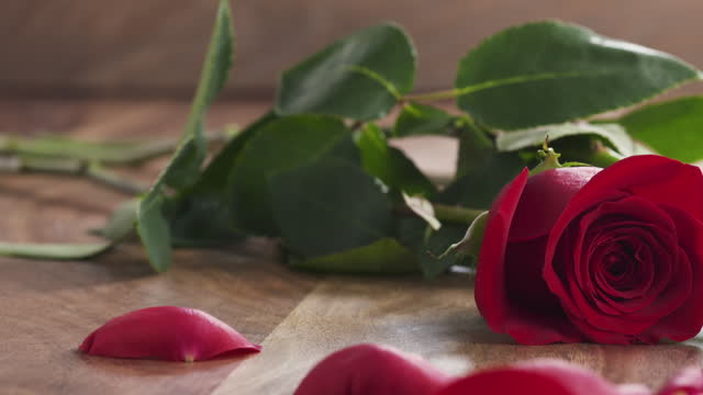 three red roses with falling petals on old wood background in slow motion