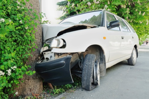 Head-on car crash into a tree, side view
