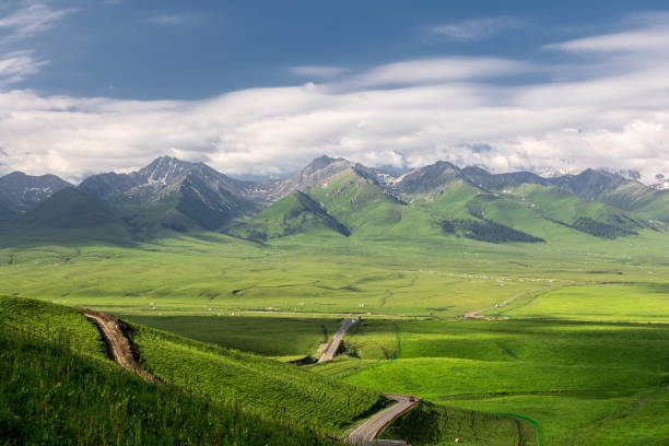 istock Xinjiang Narat Prairie 1597672020