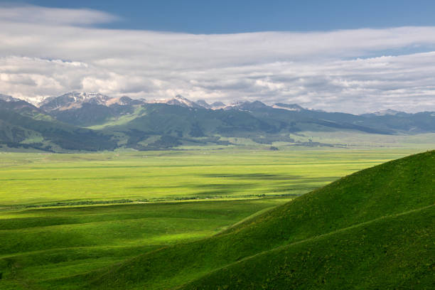 istock Xinjiang Narat Prairie 1597672587