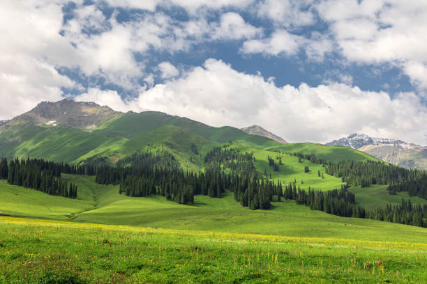 istock Xinjiang Narat Prairie 1597675392