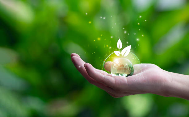 istock Hand holding green leaf with Net-Zero icons. CO2 Net-Zero Emission - Carbon Neutrality concept. 1597756802