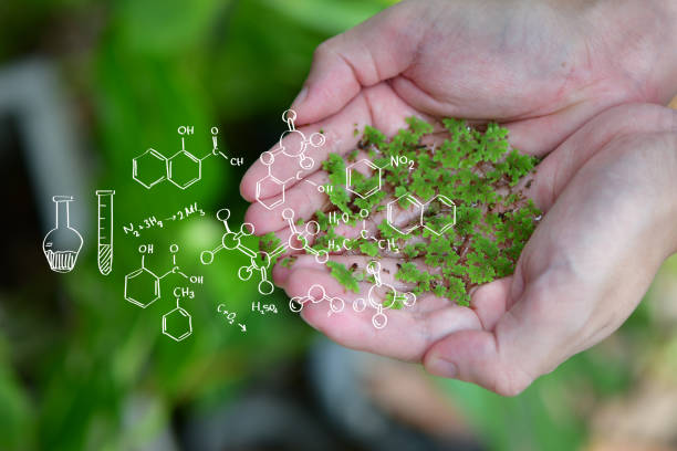 istock Hand planting trees with technology of renewable resources, Net Zero 2050 Carbon Neutral and Net Zero Concept 1597757838