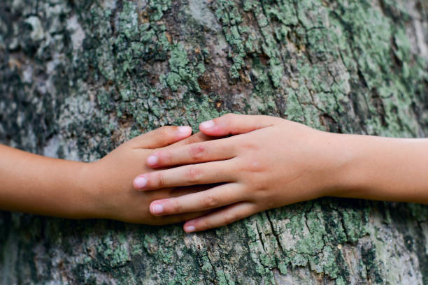 istock Hands hug a large tree trunk in the green, Save the planet and climate change. 1597757841