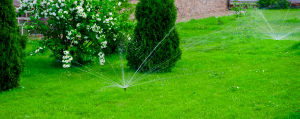 istock Sammer in the garden. Automatic watering watering green lawn 1597788388