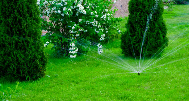 istock Sammer in the garden. Automatic watering watering green lawn 1597788398