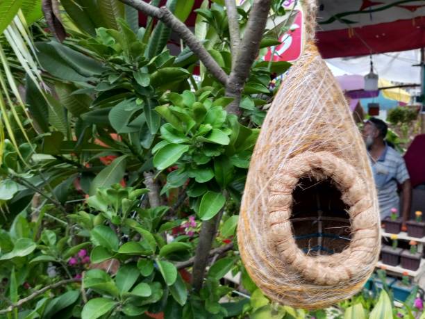 The artificial tailor bird nest among the green