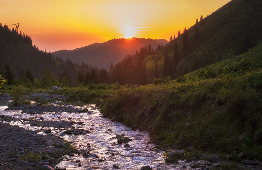 Summer mountain landscape at sunset with a stormy river on slope with a spruce forest. Butakovo gorge in Almaty Kazakhstan.