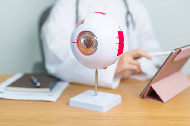 istock Doctor with human Eye anatomy model with magnifying glass. Eye disease, Refractive Errors, Age Related Macular Degeneration, Cataract, Diabetic Retinopathy, Glaucoma, Amblyopia, Strabismus and Health 1597866454