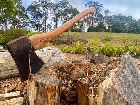 Horizontal country landscape with wood and metal axe held in tree stump amongst timber in a rural country farmland Bangalow Australia