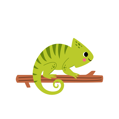 Vector picture of cute chameleon isolated on white background.