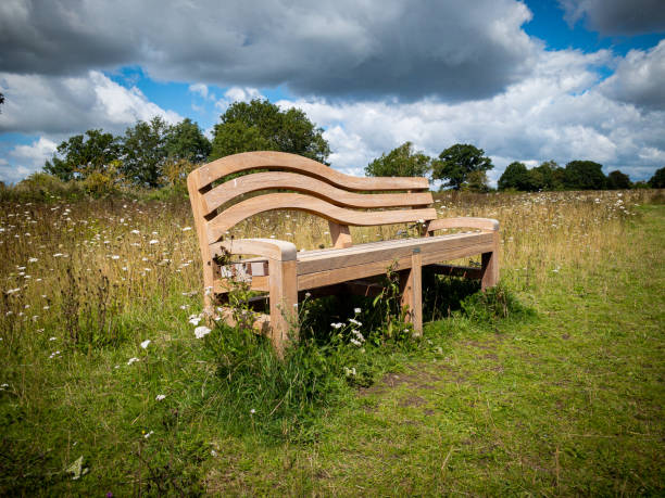 Large wooden bench in a grass and flower meadow