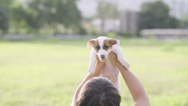 Asian man holding a Jack Russell Terrier puppy and raising the puppy up to the air while admiring how cute the puppy is
