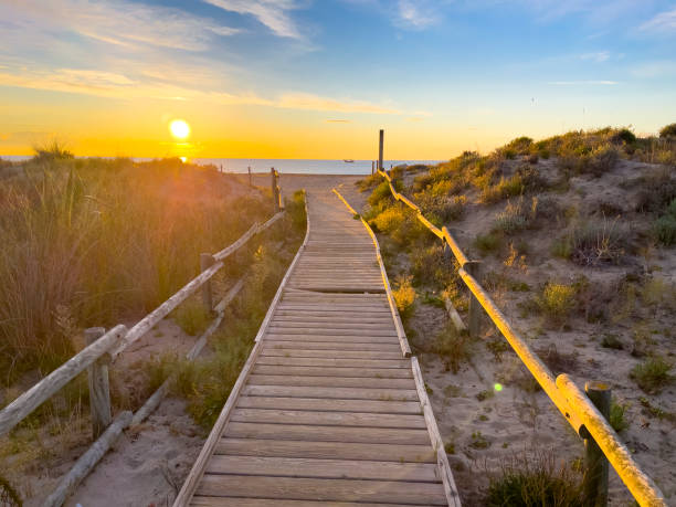 istock Wooden walkway to the beach at sunset 1597955341