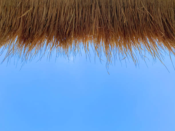 istock Thatched roof against a clear blue sky 1597966008