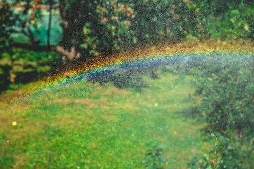 Beautiful bright rainbow against the background of greenery and nature. summer, rain