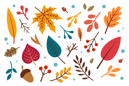 Autumn design elements set. Vector floral illustration. Fall leaves collection. Autumn elements - acorn, apple, leaves, berries. Flat design, doodle style.
