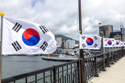Flag of south korea waving with highly detailed textile texture pattern