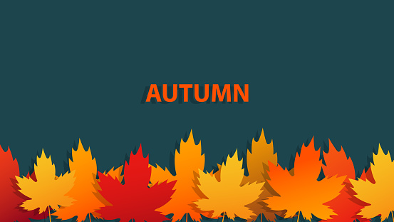 Autumn banner with maple leaves for fall season graphic design. Vector illustration.