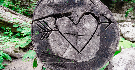 sign heart and arrow carved in a tree trunk in the jungle without people in thailand landscape